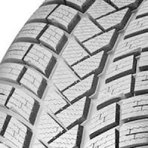 Image of Vredestein Wintrac Pro (205/45 R17 88V)