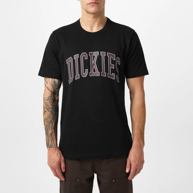 Image of Dickies Aitkin T-Shirt Black male X Large