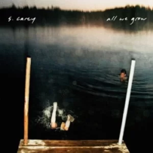 Image of All We Grow by S. Carey CD Album