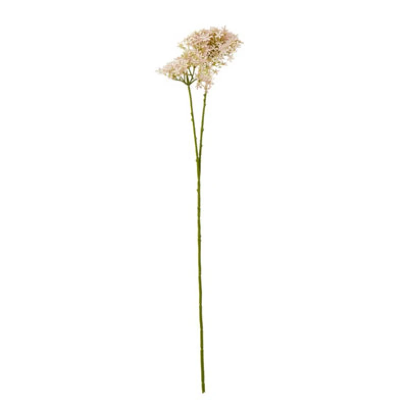 Image of Pink Crown Hydrangea Stem