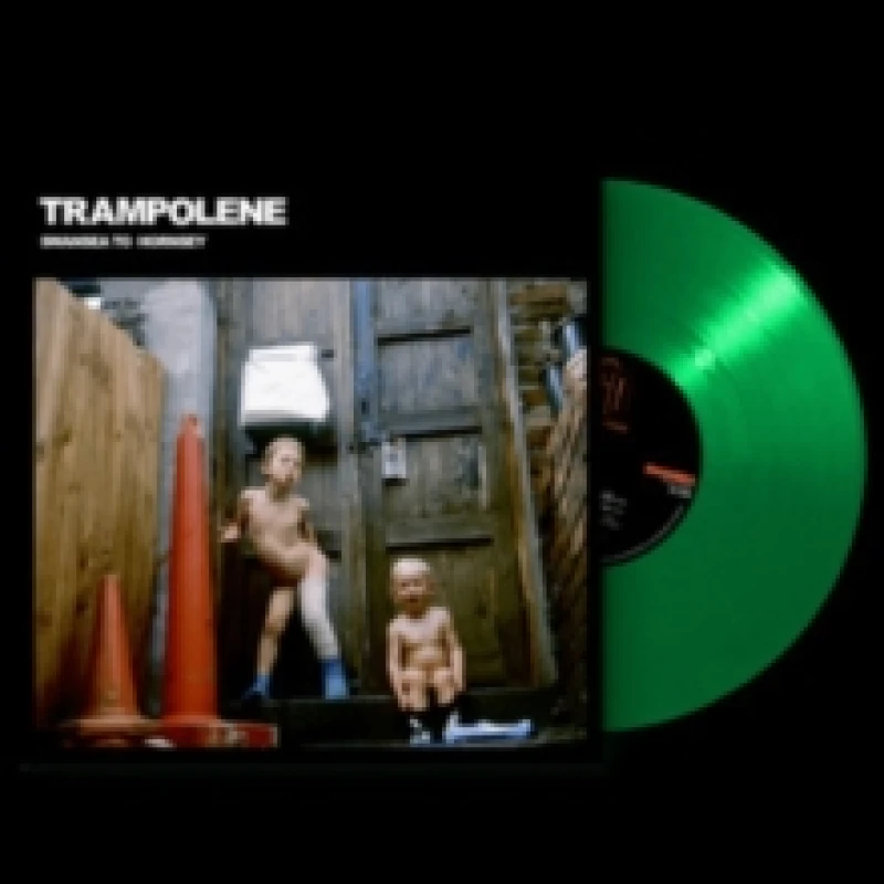 Image of Swansea to Hornsey (Anniversary Edition) Vinyl