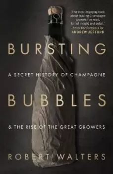 Image of Bursting Bubbles by Robert Walters
