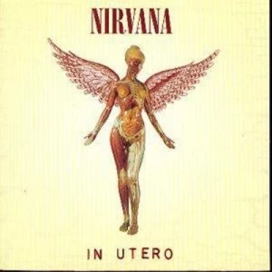 Image of In Utero by Nirvana CD Album