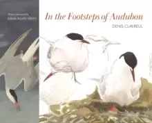 Image of In the Footsteps of Audubon