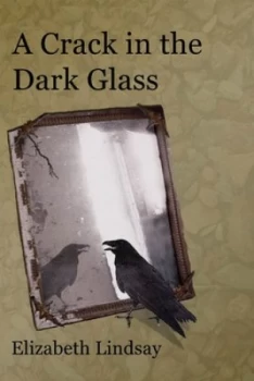 Image of A Crack in the Dark Glass by Elizabeth Lindsay Book