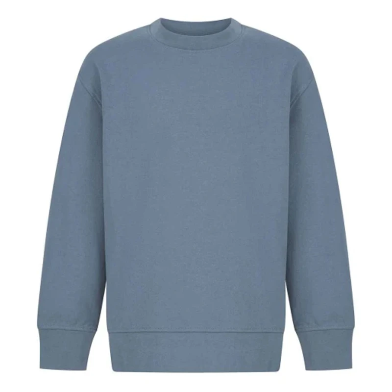 Image of Sf SM530 boys's Children's sweater in Blue