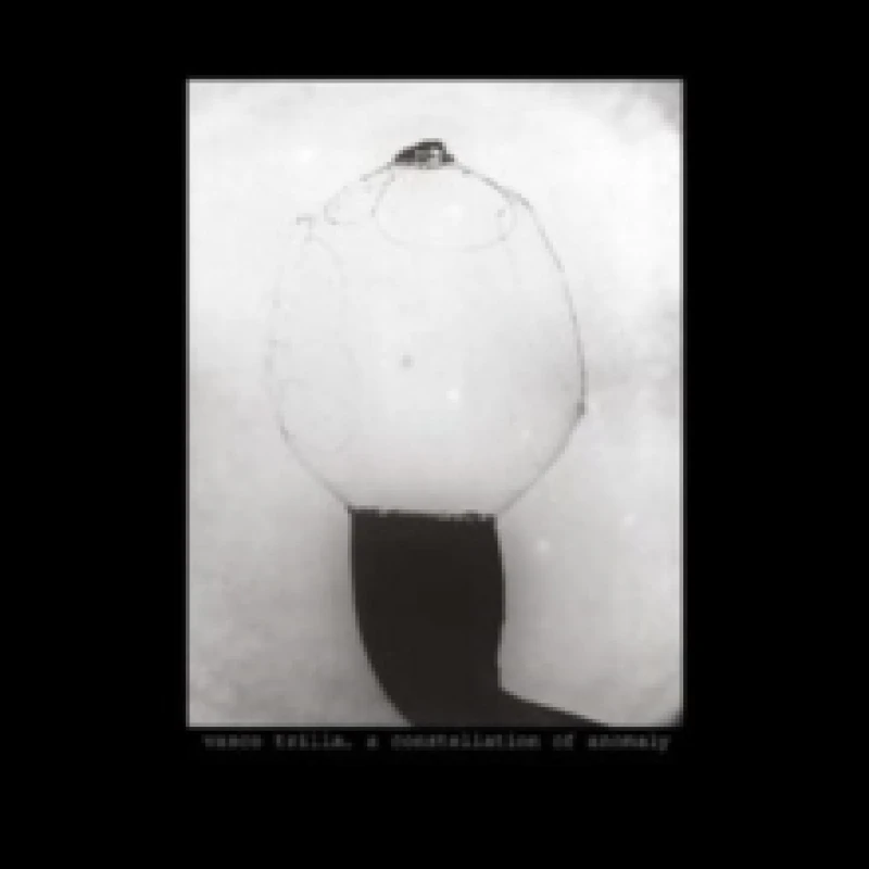 Image of Vasco Trilla: A Constellation of Anomaly CD / Album