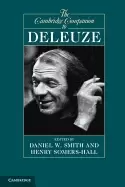 Image of cambridge companion to deleuze
