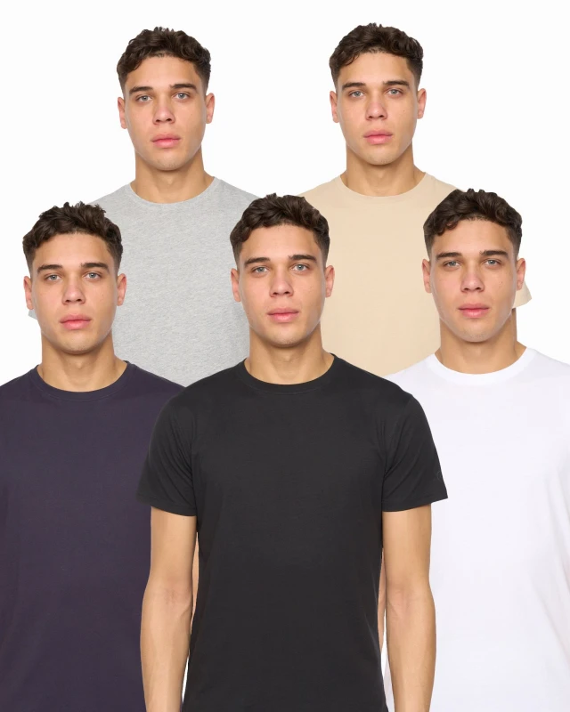 Image of Duck&Cover Mens Frankinz T-Shirt 5pk Size: Small Multicolor Male S