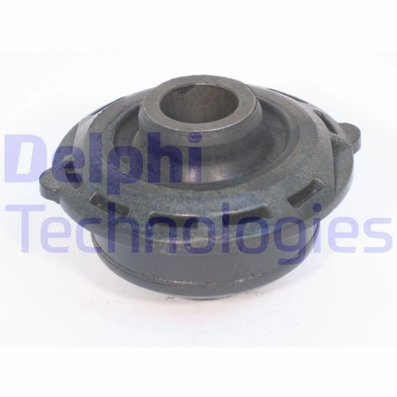 Image of DELPHI Trailing arm / Suspension arm bush DELPHI TD504W