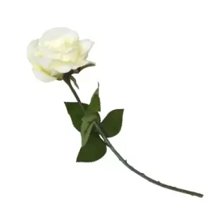 Image of Rose Cream