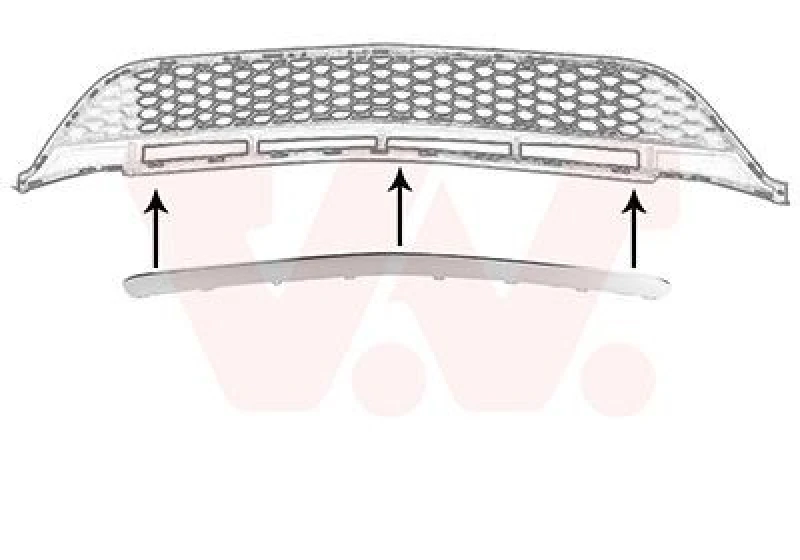 Image of VAN WEZEL Trim / Protective Strip, radiator grille VAN WEZEL 2946580