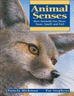 Image of animal senses how animals see hear taste smell and feel