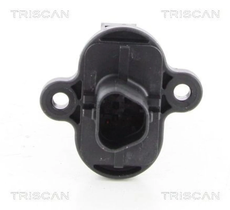 Image of TRISCAN Mass air flow sensor TRISCAN 8812 24100