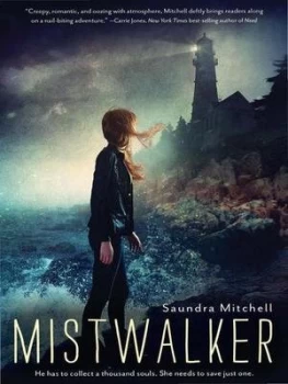 Image of Mistwalker by Saundra Mitchell Hardback