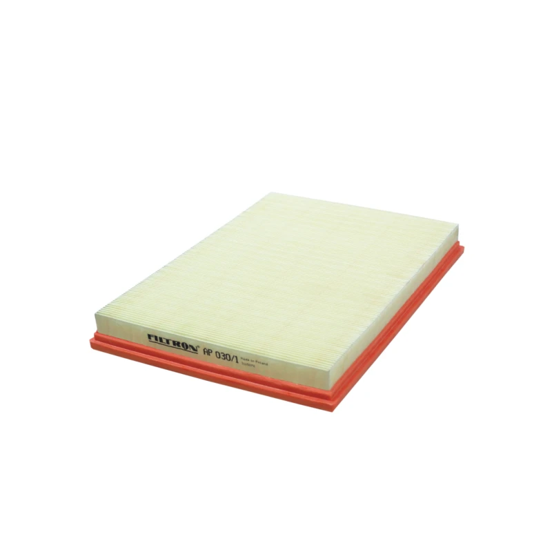 Image of FILTRON Air filter FILTRON AP 030/1