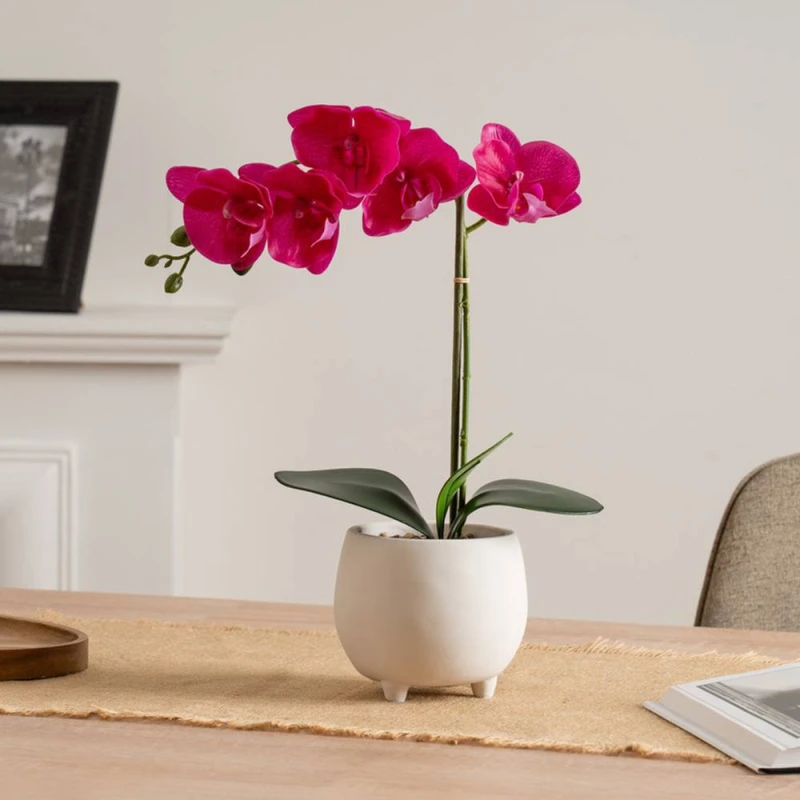 Image of Scottish Everlastings Ltd 40cm Pink Orchid in Cement pot Pink Unisex