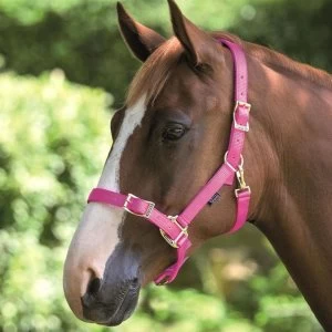 image of Shires Pro Adjustable Headcollar - Pink