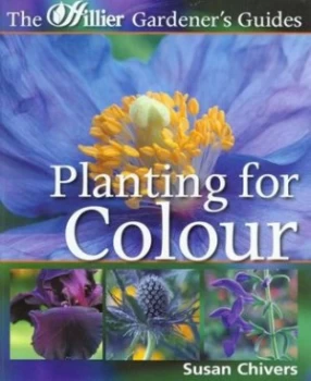 Image of Planting for Colour by Susan Chivers and England Hillier Nurseries Paperback