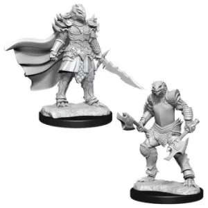 Image of D&D Nolzur's Marvelous Unpainted Miniatures (W15) Dragonborn Fighter Female