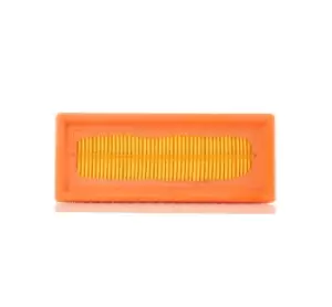 Image of PURFLUX Air filter A1123 Engine air filter,Engine filter RENAULT,NISSAN,TWINGO I (C06_),CLIO II (BB0/1/2_, CB0/1/2_),KANGOO (KC0/1_)