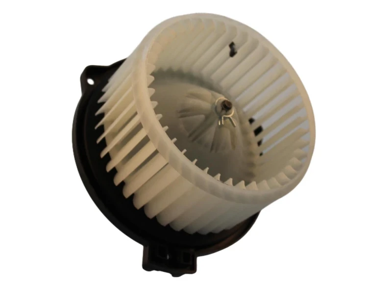 Image of Blower motor WALKER WBL01201