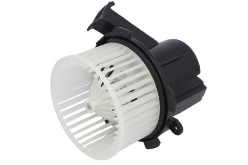 Image of THERMOTEC Blower motor THERMOTEC DDM029TT