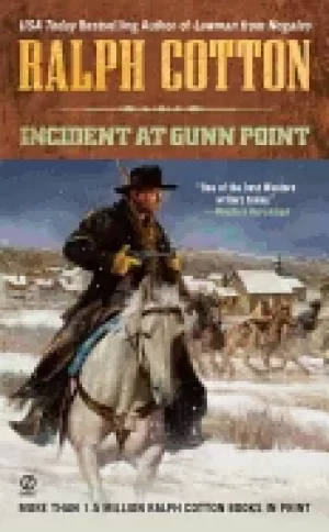 Image of incident at gunn point