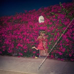 Image of Feist - Pleasure Vinyl