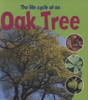 Image of The Life Cycle of an Oak Tree by Ruth Thomson Hardback