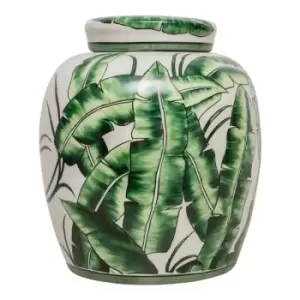 Image of Corn Plant Leaf 13 Ginger Jar