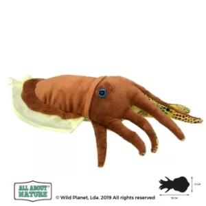 Image of Cuttlefish (All About Nature) 30cm Plush