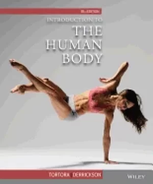 Image of introduction to the human body