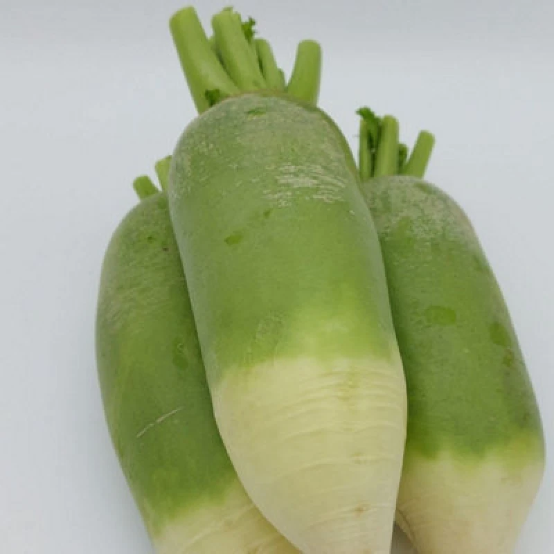 Image of Thompson & Morgan Radish Triumphator F1 Winter Seeds - Crisp Peppery Easy To Grow For Salads & Kimchi