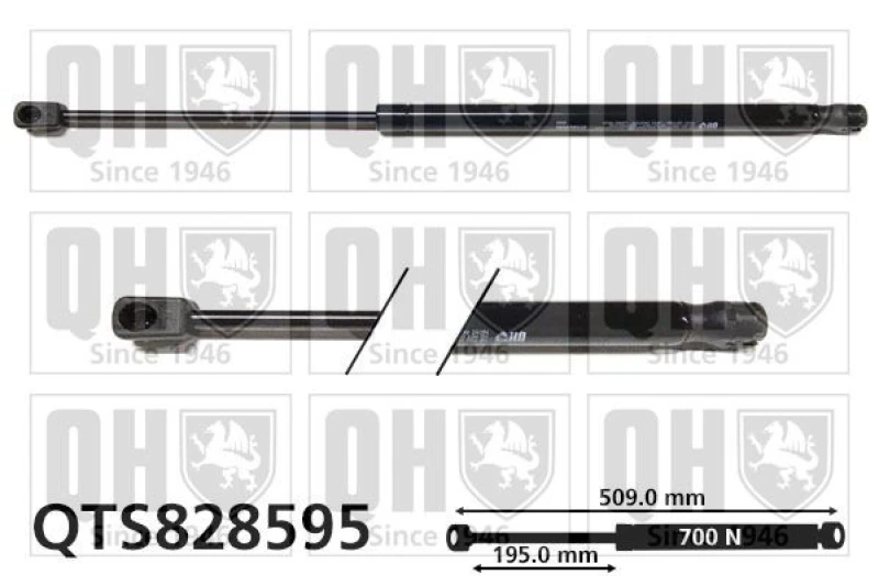 Image of QUINTON HAZELL Tailgate strut QUINTON HAZELL QTS828595