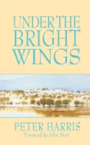 Image of under the bright wings