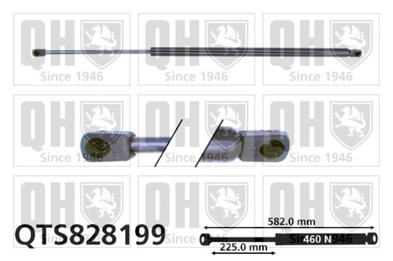 Image of QUINTON HAZELL Tailgate strut QUINTON HAZELL QTS828199