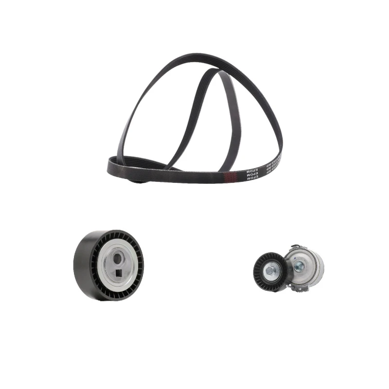 Image of RIDEX PLUS 542R0310P V-ribbed belt set V-Ribbed Belt Set (542)