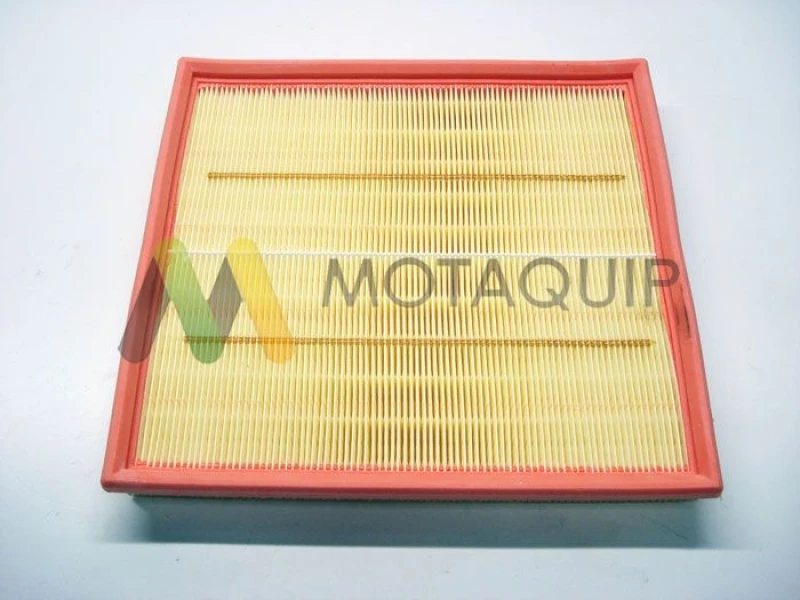 Image of MOTAQUIP Air filter MOTAQUIP LVFA1484
