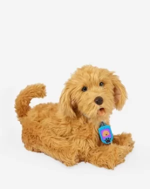 Image of Moji The Loveable Labradoodle