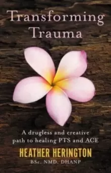 Image of Transforming Trauma : A drugless and creative path to healing PTS and ACE