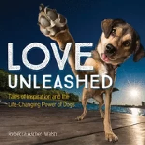 Image of love unleashed tales of inspiration and the life changing power of dogs