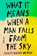 Image of what it means when a man falls from the sky stories