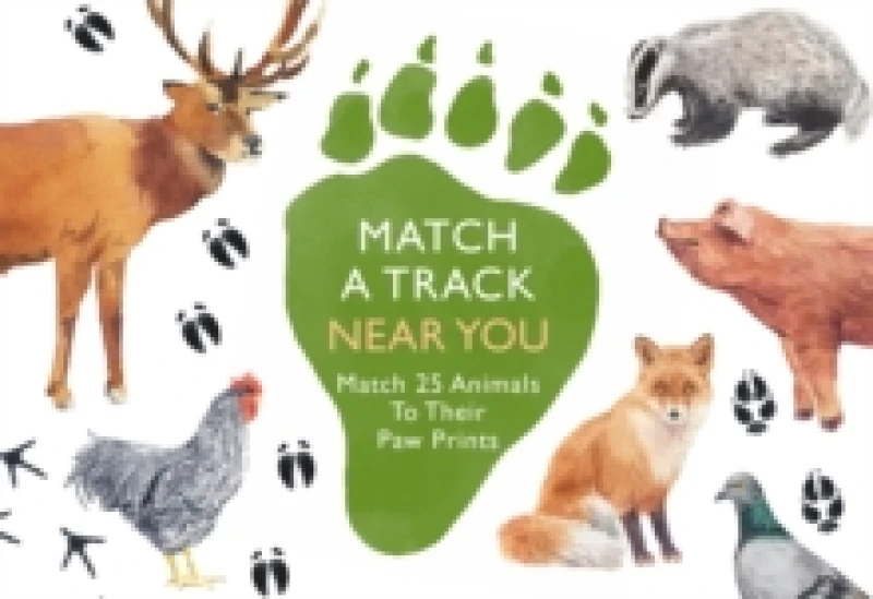 Image of Match a Track Near You. Cards. By Laurence King Publishing Books