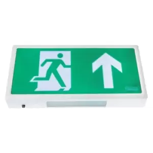 image of Channel Smarter Safety Alpine Emergency Exit Box Sign - E-AL-M3-LED