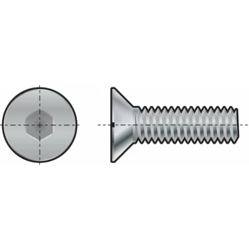 Image of M10X16 Skt Countersunk Head Screw (GR-10.9)- you get 25 - Qualfast