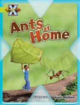Image of Ants at Home by Haydn Middleton Paperback