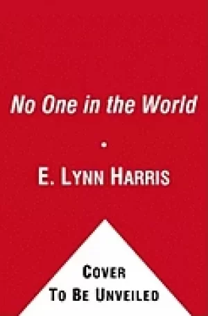 Image of no one in the world a novel