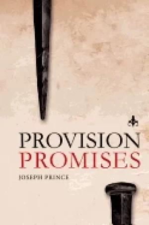 Image of provision promises