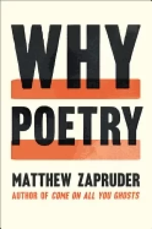 Image of why poetry
